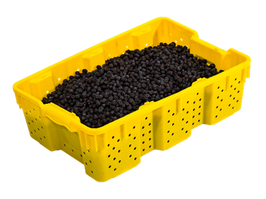 A yellow container filled with black beans.