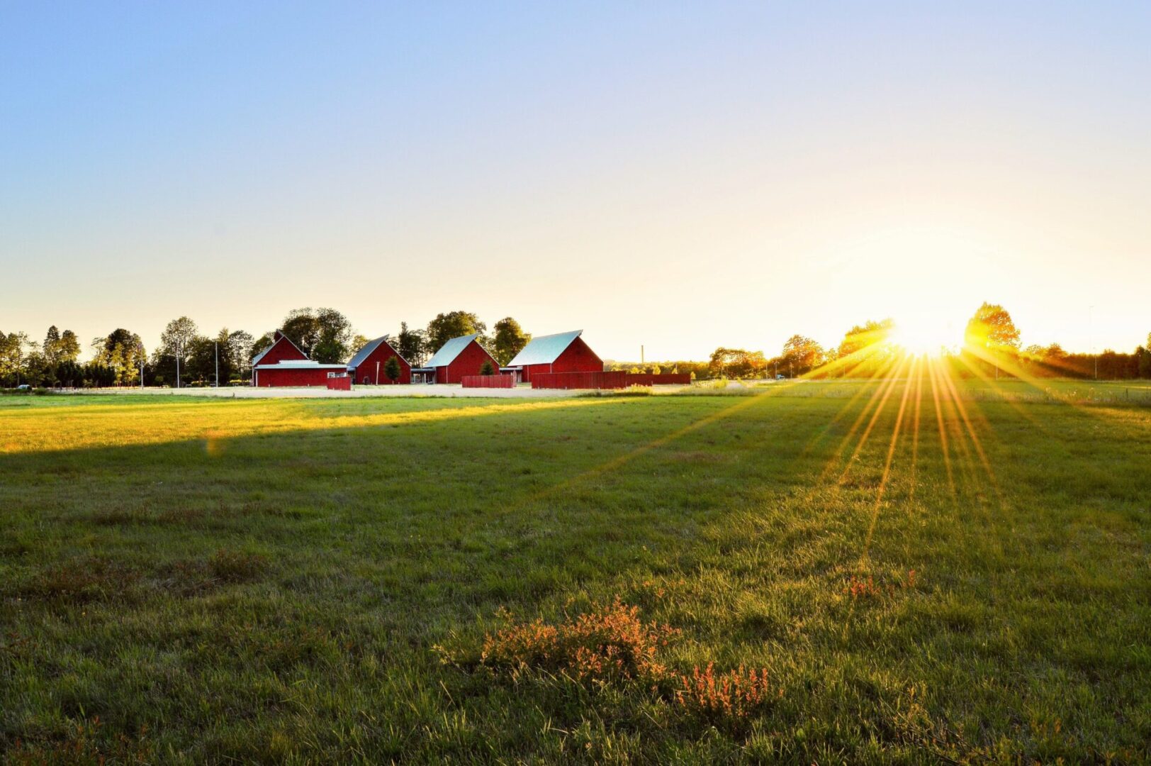 A field with some buildings in the background