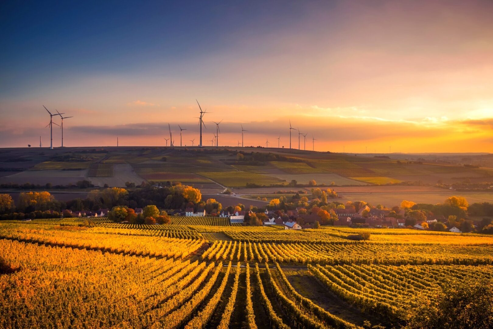 A field with rows of crops in the middle of it.